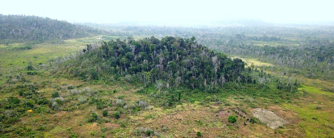 Pockets of forest surrounded by cultivated plains (Paragominas, Brazil) © CIRAD